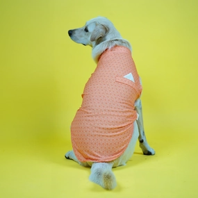 Skatrs Marigold Mandala Printed Kurta for Dogs and Cats (Orange)