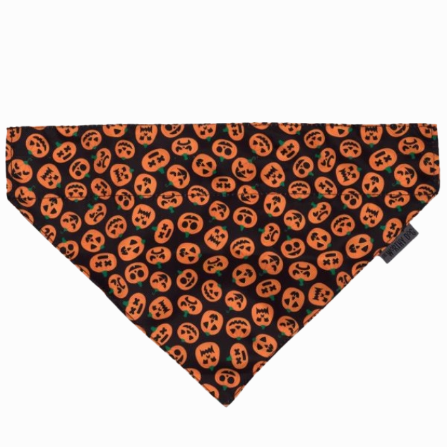 Slide-On Bandana | Jack-O-Lanterns