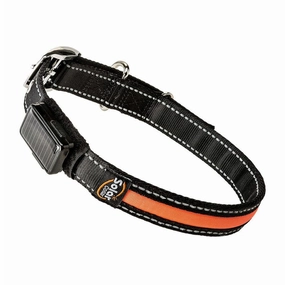 Solar Night L Collar