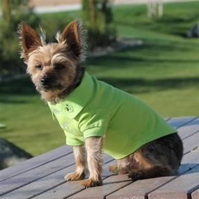 Solid Dog Polos - Green Flash