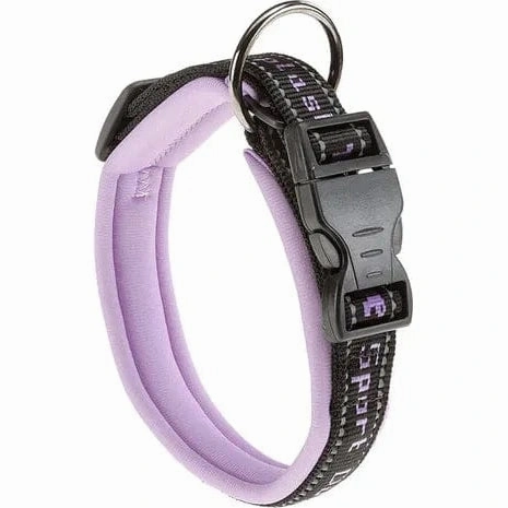 SPORT DOG C25/65 PADDED COLLAR