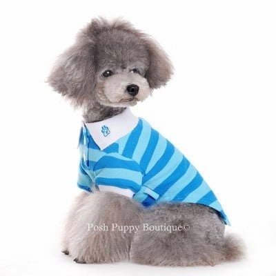 Stripe Polo Shirt in Blue