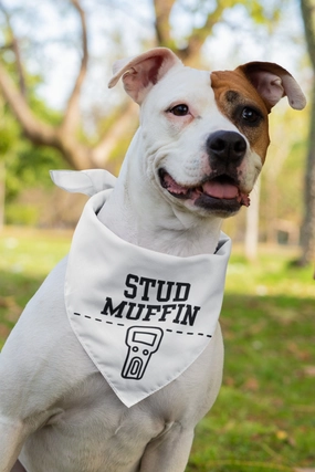 Stud Muffin Bandana