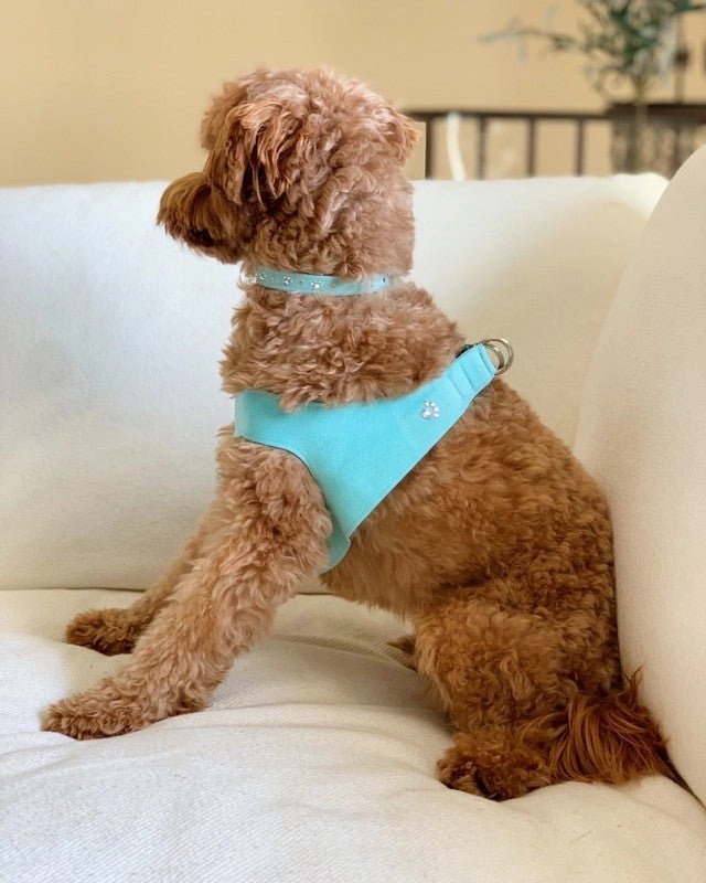 Susan Lanci Crystal Paws Ultrasuede Collars in Many Colors