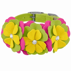 Susan Lanci Dragon Fruit Flower Collar