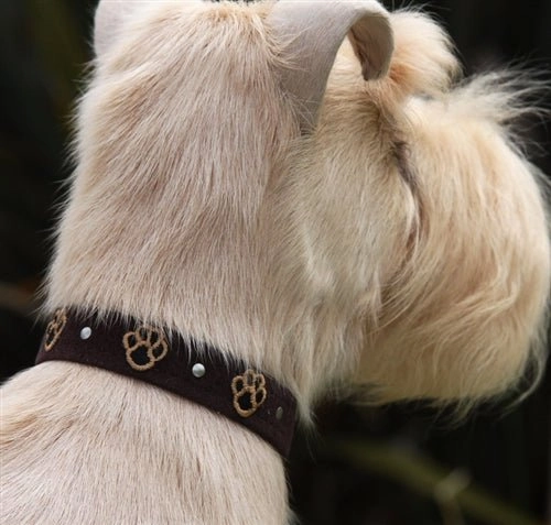 Susan Lanci Embroidered Paws with Studs Ultrasuede Dog Collar