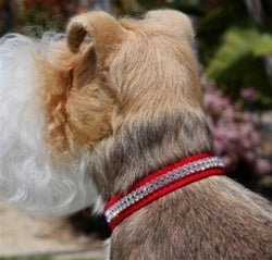 Susan Lanci Giltmore 2 Row Giltmore Collar in Many Colors