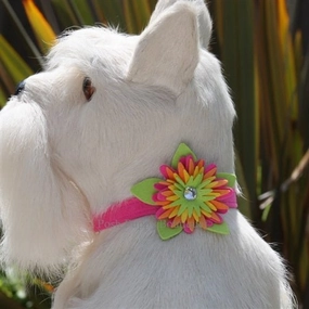 Susan Lanci Island Flower Collection 1/2" Collar- Many Colors