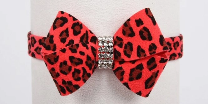 Susan Lanci Jungle Print Collection 1/2" Nouveau Bow Collar