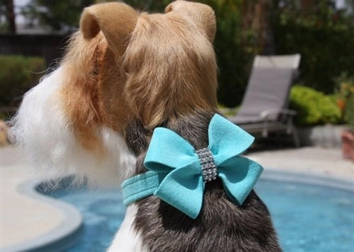 Susan Lanci Nouveau Bow Ultrasuede Collar in Many Colors