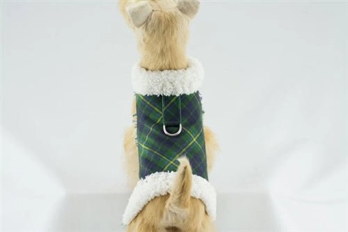 Susan Lanci Scotty Bowzer - Forest Plaid