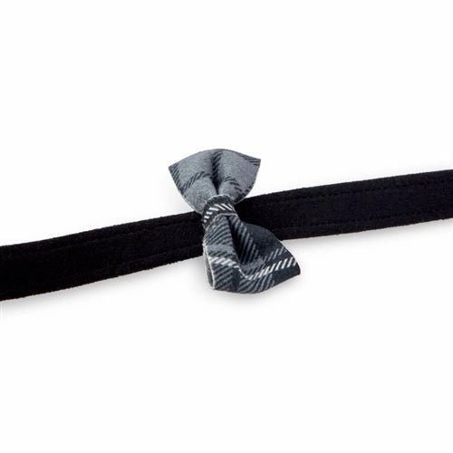 Susan Lanci Scotty Collar Charcoal Plaid - Black
