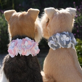 Susan Lanci Special Occasion Collar- Platinum or Puppy Pink