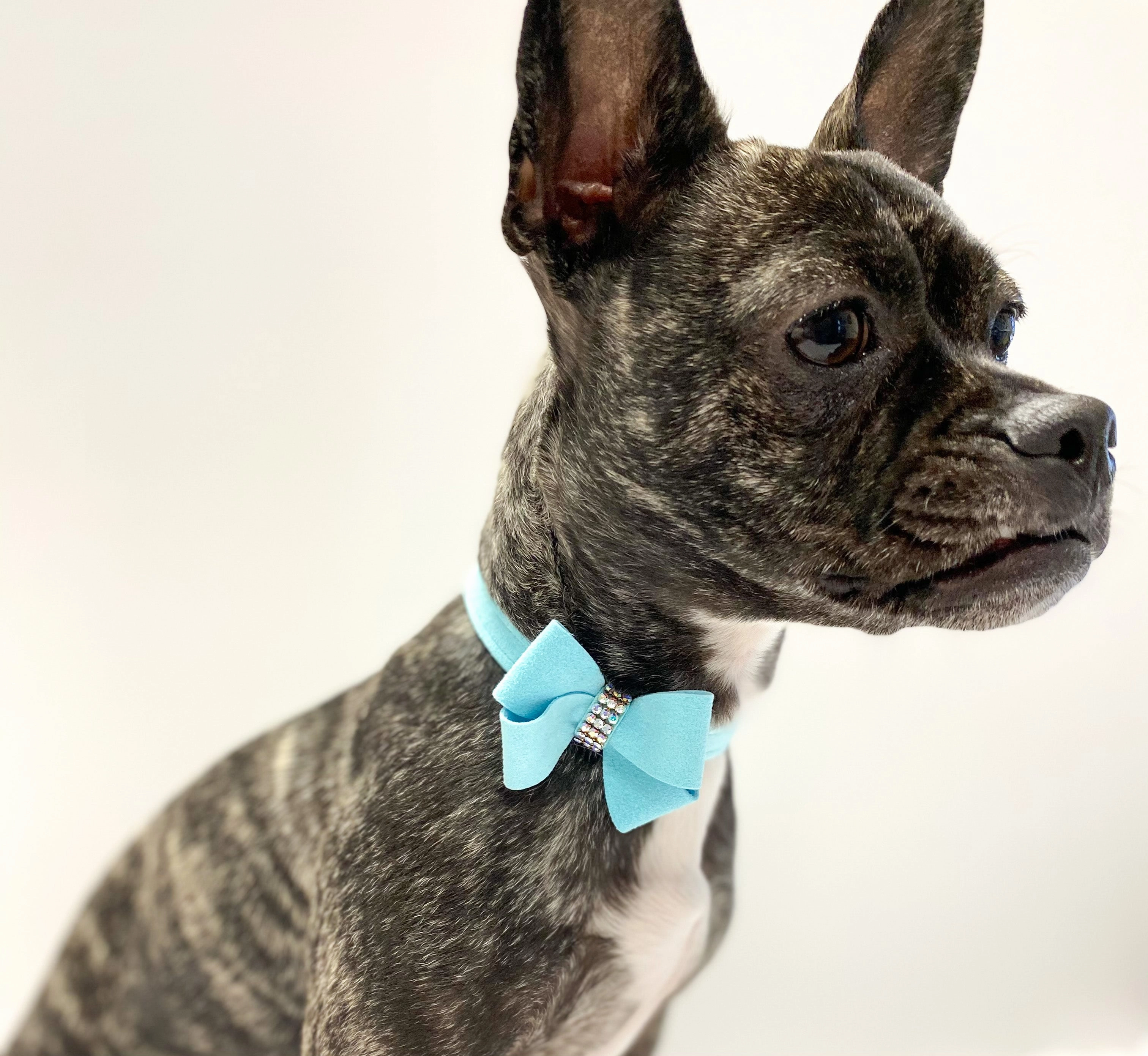 Susan Lanci Tiffi Blue AB Crystal Nouveau Bow Collar