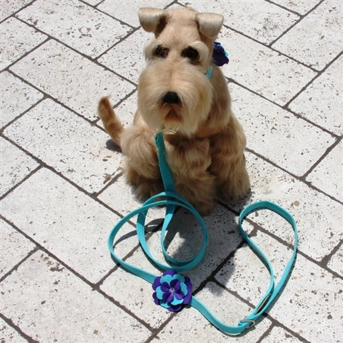 Susan Lanci Violet Collar