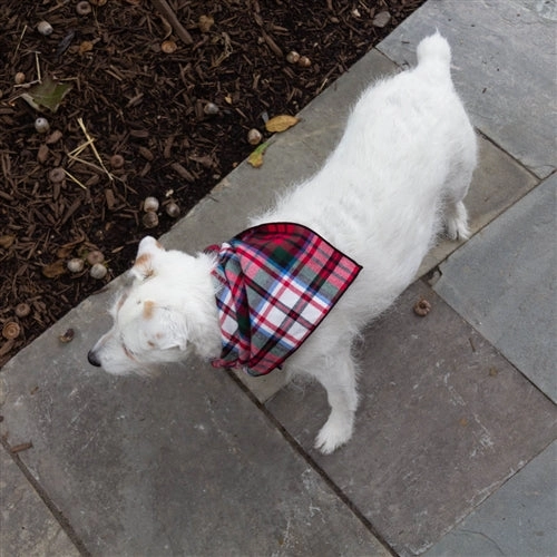 Tartan Flannel Plaid Classic Tie Dog Bandana Red