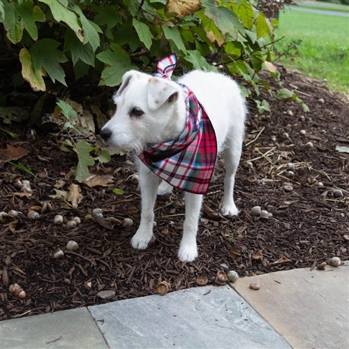 Tartan Flannel Plaid Classic Tie Dog Bandana Red