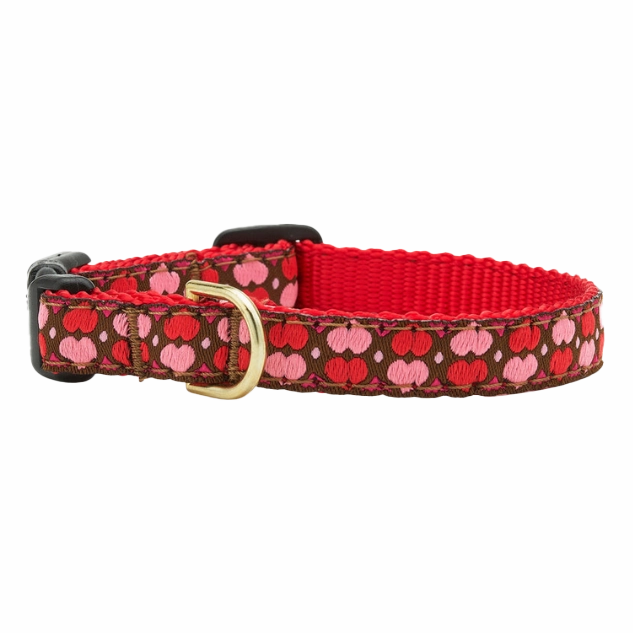 Teacup Collar | All Hearts