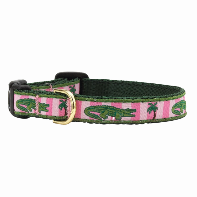 Teacup Collar | Alligator