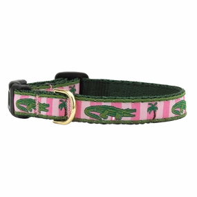 Teacup Collar | Alligator