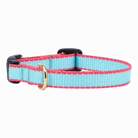 Teacup Collar | Aqua & Coral