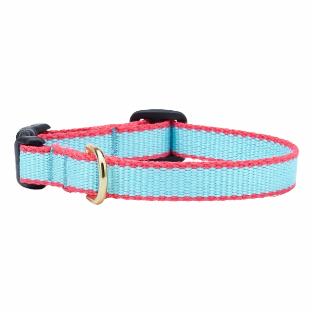 Teacup Collar | Aqua & Coral