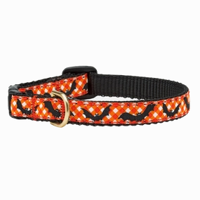 Teacup Collar | Batty