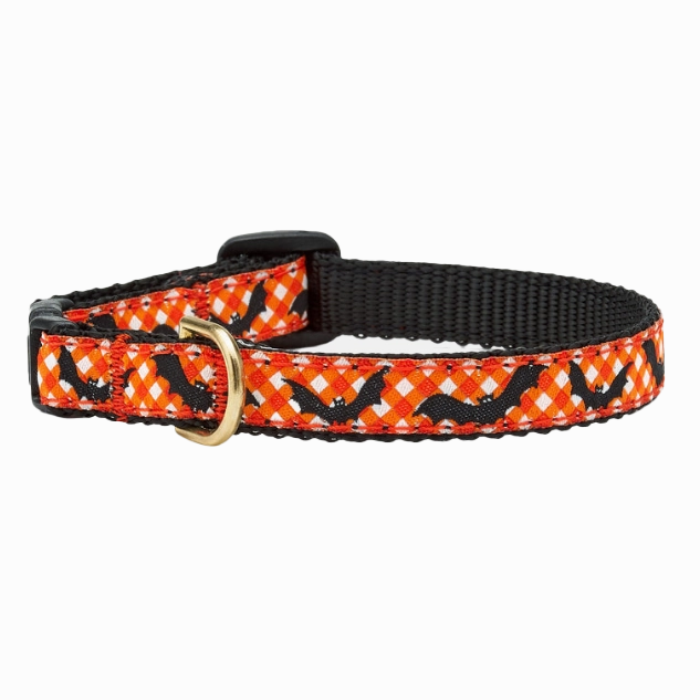 Teacup Collar | Batty