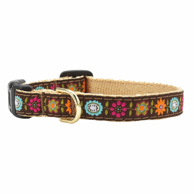 Teacup Collar | Bella Floral