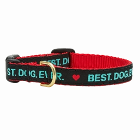Teacup Collar | Best. Dog. Ever.
