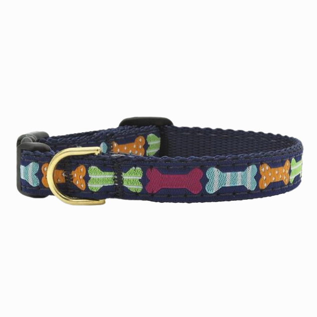 Teacup Collar | Big Bones