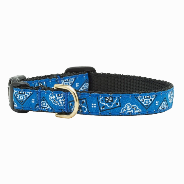 Teacup Collar | Blue Bandana