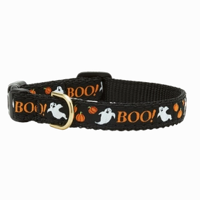 Teacup Collar | Boo!