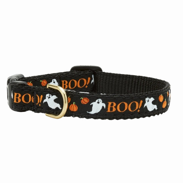 Teacup Collar | Boo!