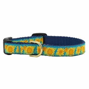Teacup Collar | Bright Sunflowers