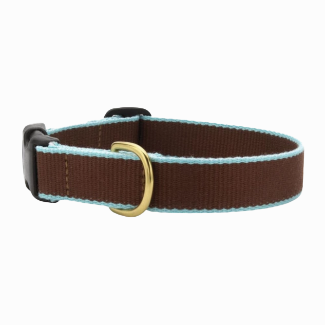 Teacup Collar | Brown & Aqua
