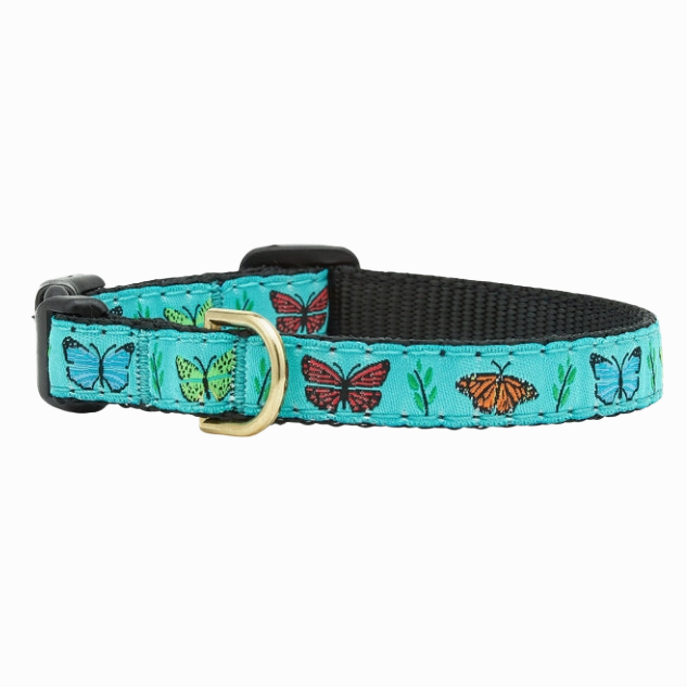 Teacup Collar | Butterfly Effect
