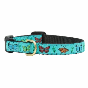 Teacup Collar | Butterfly Effect