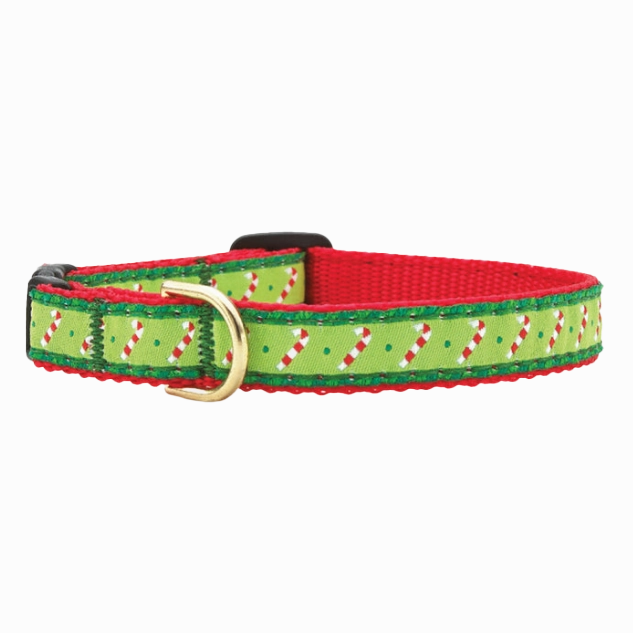Teacup Collar | Candy Canes