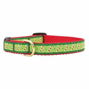 Teacup Collar | Candy Canes