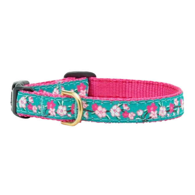 Teacup Collar | Cherry Blossom