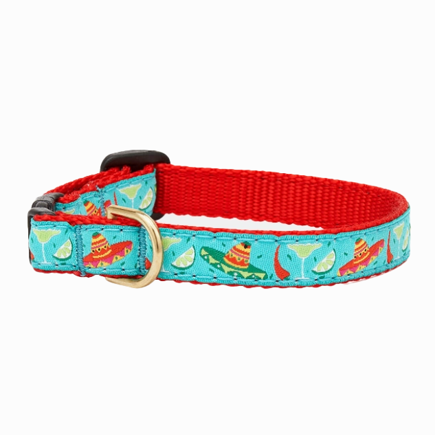 Teacup Collar | Cinco De Mayo