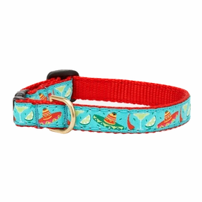 Teacup Collar | Cinco De Mayo