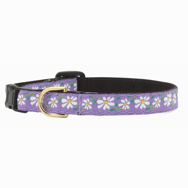 Teacup Collar | Daisy
