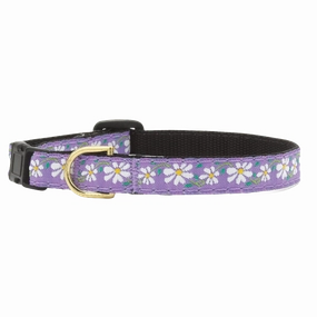 Teacup Collar | Daisy