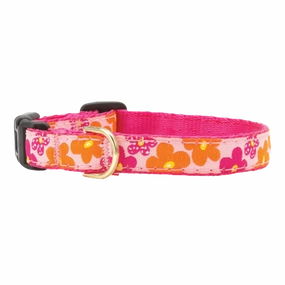 Teacup Collar | Flower Power