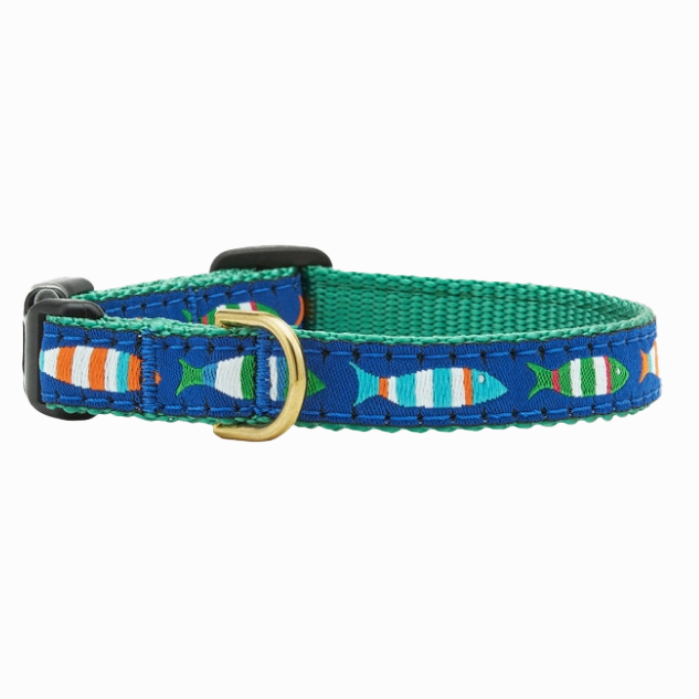 Teacup Collar | Funky Fish