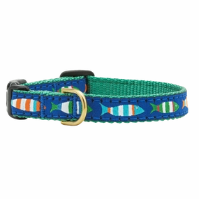 Teacup Collar | Funky Fish