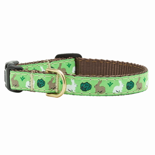 Teacup Collar | Garden Rabbits
