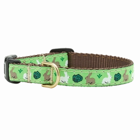 Teacup Collar | Garden Rabbits